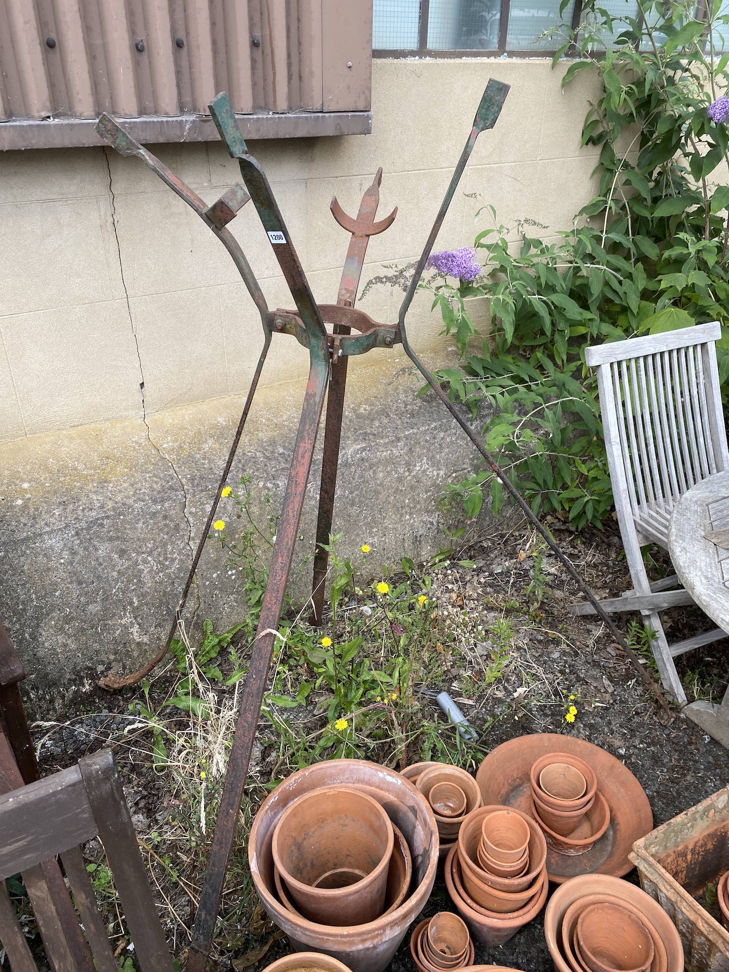 A Victorian wrought iron tree growing frame.
